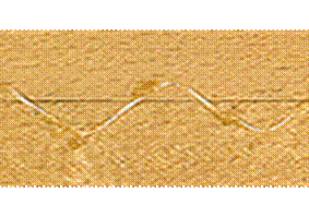 image004.gif